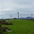 Privately owned Hayes Hill Wind Farm_Flinders Island