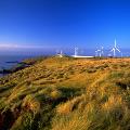 Bluff Point Wind Farm_Visitor centre