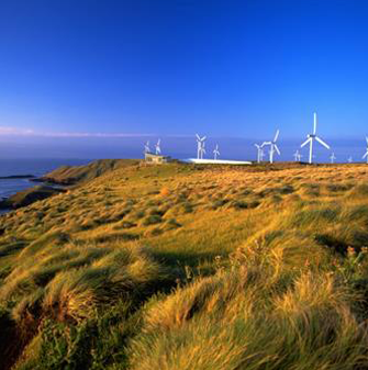Woolnorth-Wind-Farm-335x337